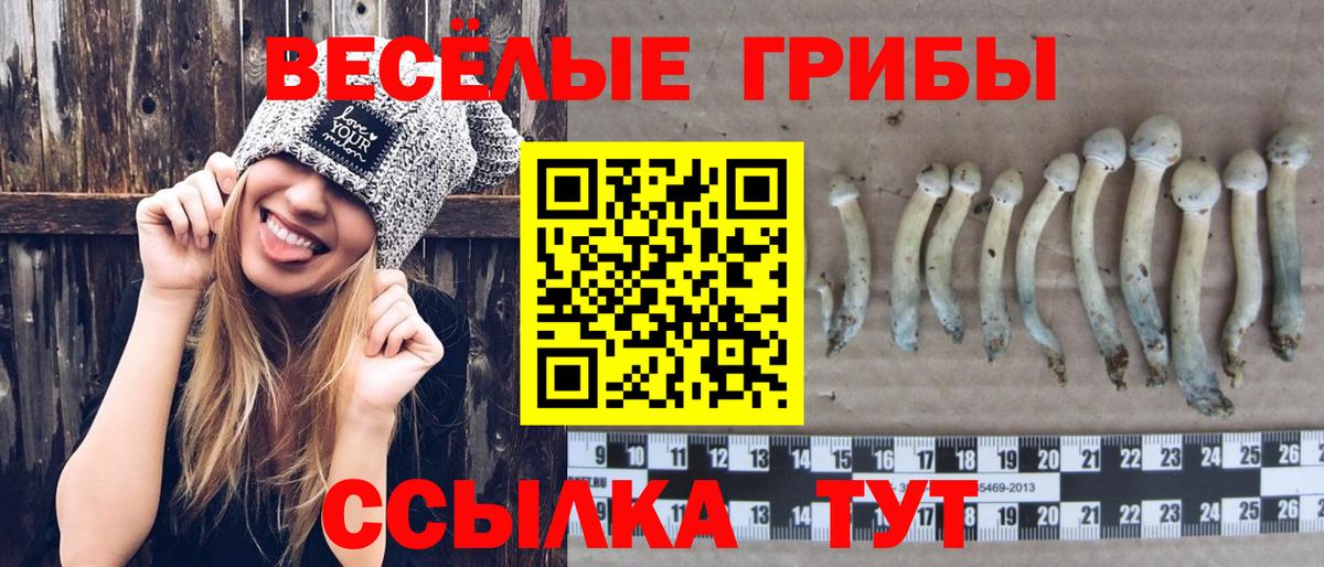 что такое наркотик  Псилоцибиновые грибы Psilocybine cubensis  Магнитогорск  Вход с VPN  Псилоцибиновые грибы MAGIC MUSHROOMS 